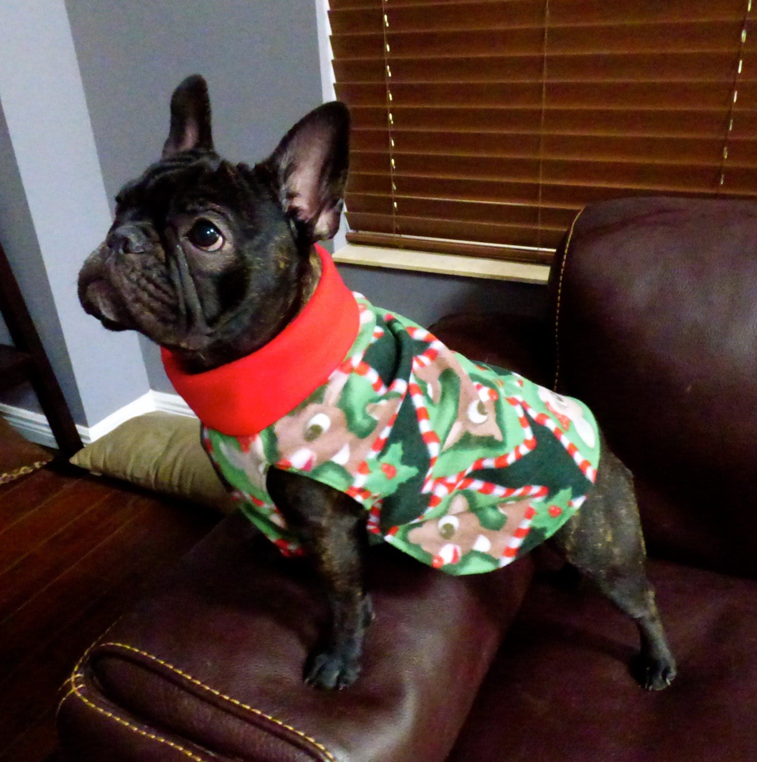 French Bulldog Style Pullover Christmas Sweater by WoofCoutureInt