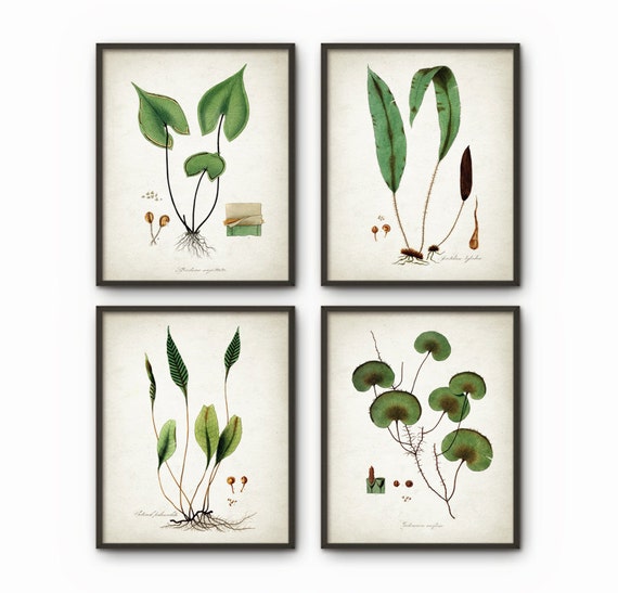 Green Plant Wall Decor Set Of 4 Botanical Art Posters