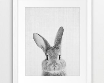 Rabbit Print, Nursery Animal Wall Art, Woodlands Animals Print, Black And White Animal Printable Art, Bunny Print, Kids Room Decor, DIY