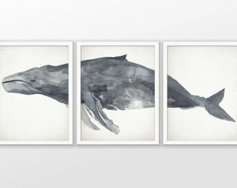 Humpback Whale Print Set Of 3 - Humpback Whale Watercolor Painting Print - Whale Bathroom Art - Set Of Three Prints #2090 - INSTANT DOWNLOAD