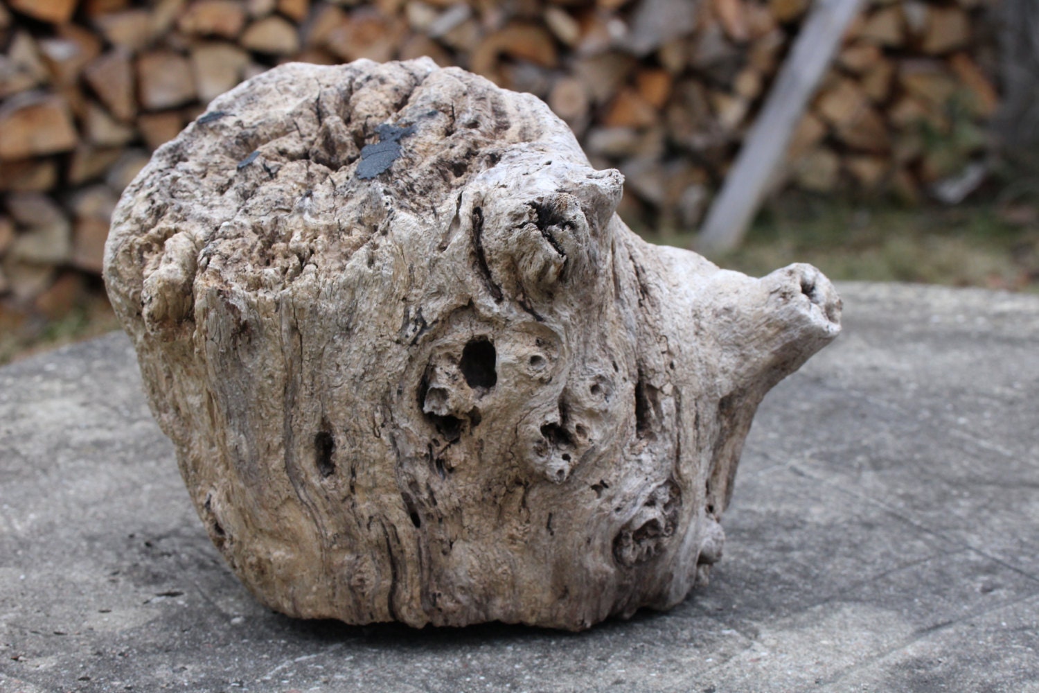 Large Driftwood Stump Salvaged Wood Beach Home Decor