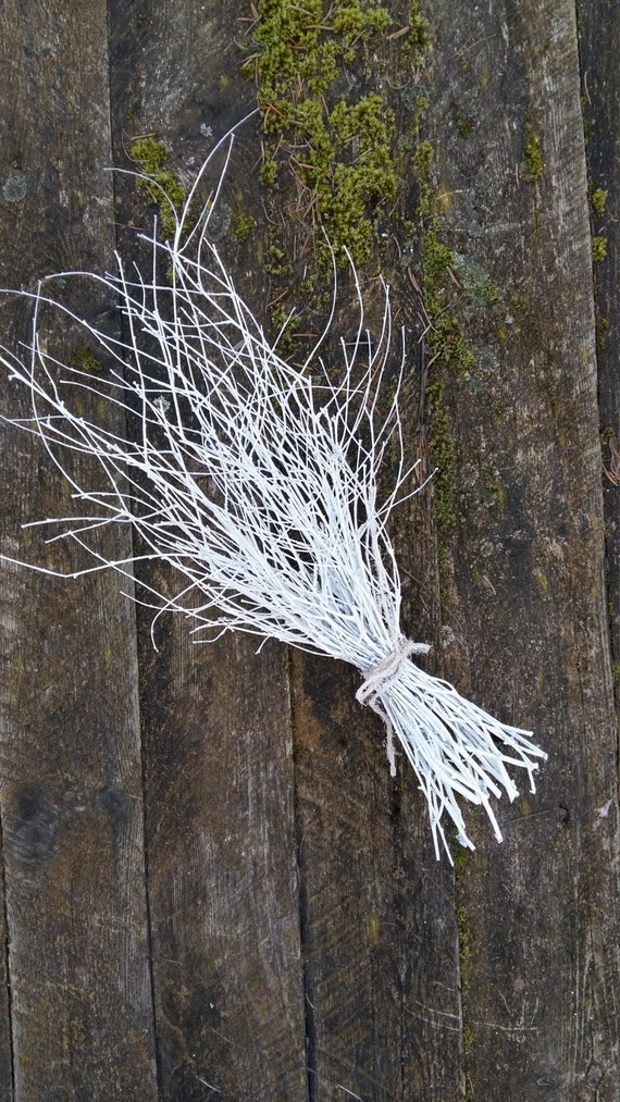 painted branches white birch branches natural twigs rustic