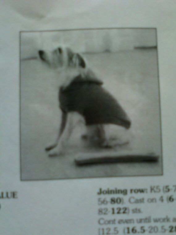 Hooded Dog Coat Knit Pattern from Bernat