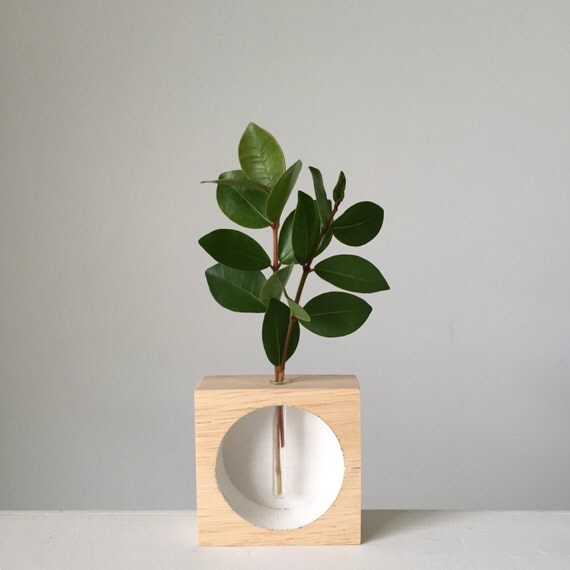 Mini table top vase mini vase minimalist test by kirraleeandco