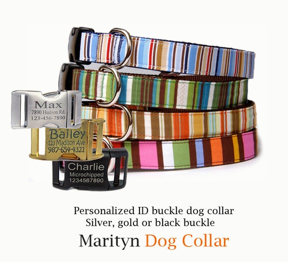 Dog collar w/ personalized ID buckle Engraved buckle pet