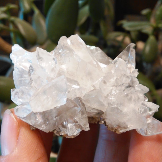 Crystal Clear Dogtooth Calcite Crystal Cluster Dogtooth Spar