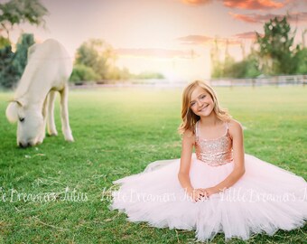NEW! The Grace Dress in Blush and Sequins - Flower Girl Dress