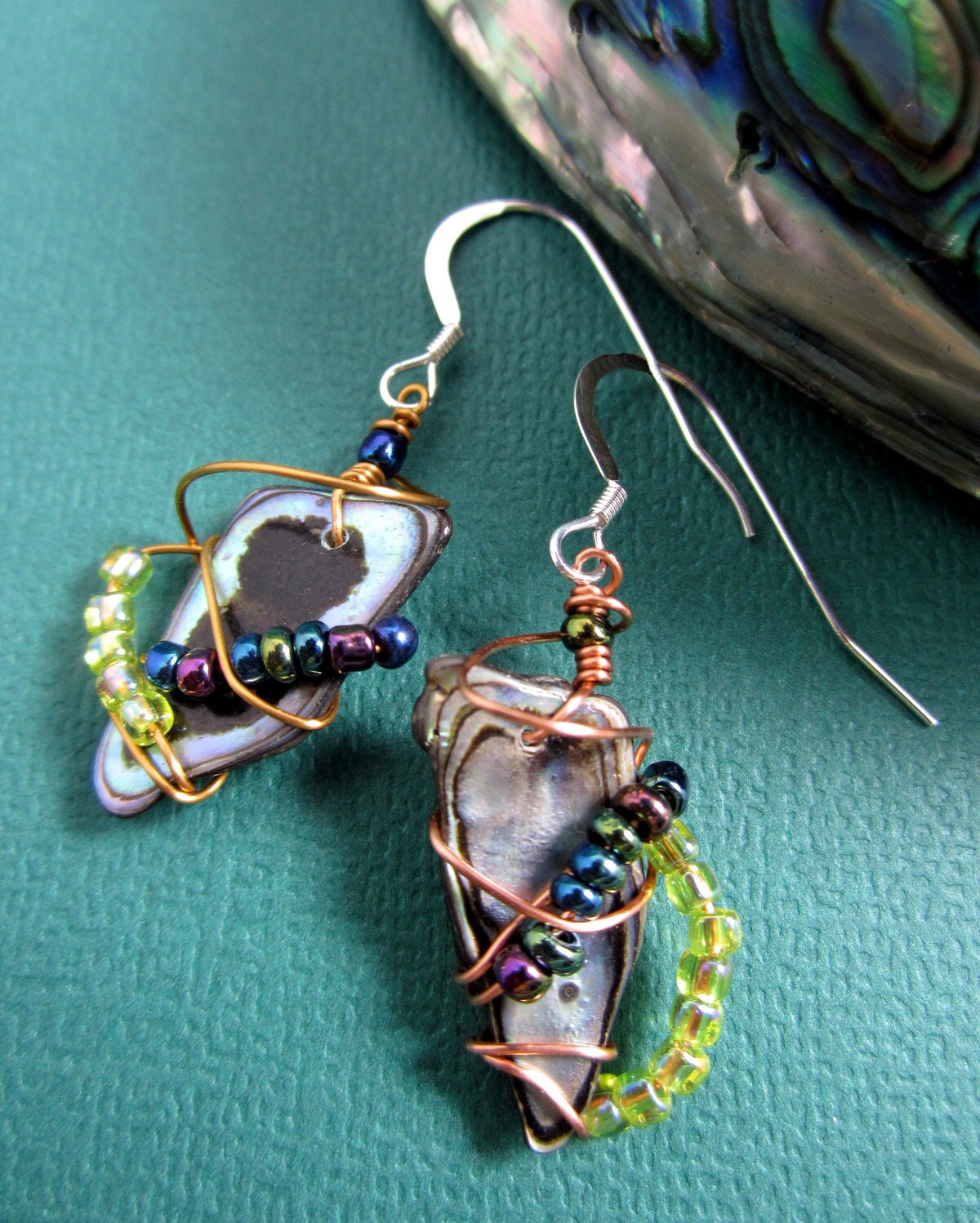 New Zealand Paua Shell Earrings Shell Earrings Paua Shell