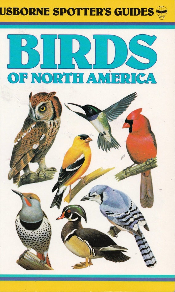 Vintage Usborne Spotters Guides Birds of North by ShopHereVintage