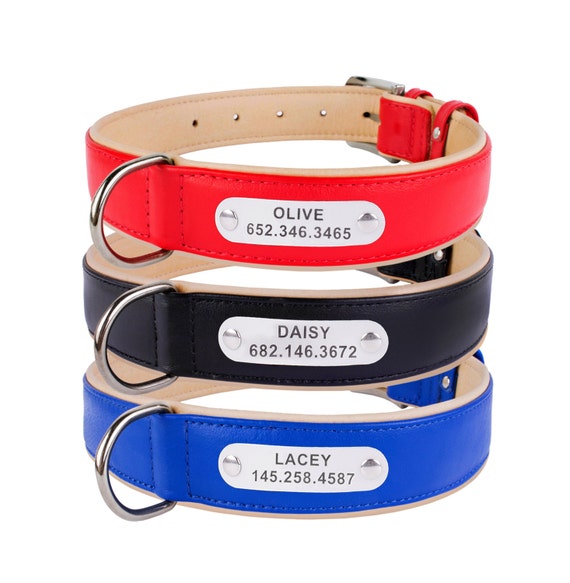 Leather Dog Collar Personalized Laser Engraved ID by CollarDirect