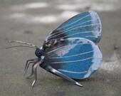 3" Holly Blue Butterfly - Scrap Metal Sculpture, Unique Art Work, Scrap Metal Art, Metal Butterfly