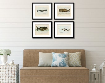 Whale Print Set of 4, Whale Art, Posters, Nautical Art, Beach Art, Coastal Decor, Beach Home Decor, Bowhead, Narwhal, Whales, Prints