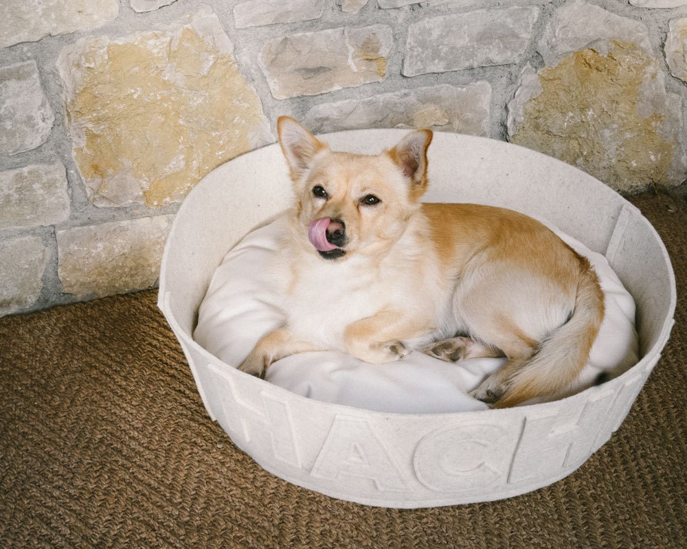 Dog beds personalized White pet bed modern dog bed Luxury dog