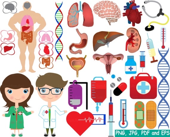 Image result for human biology clipart