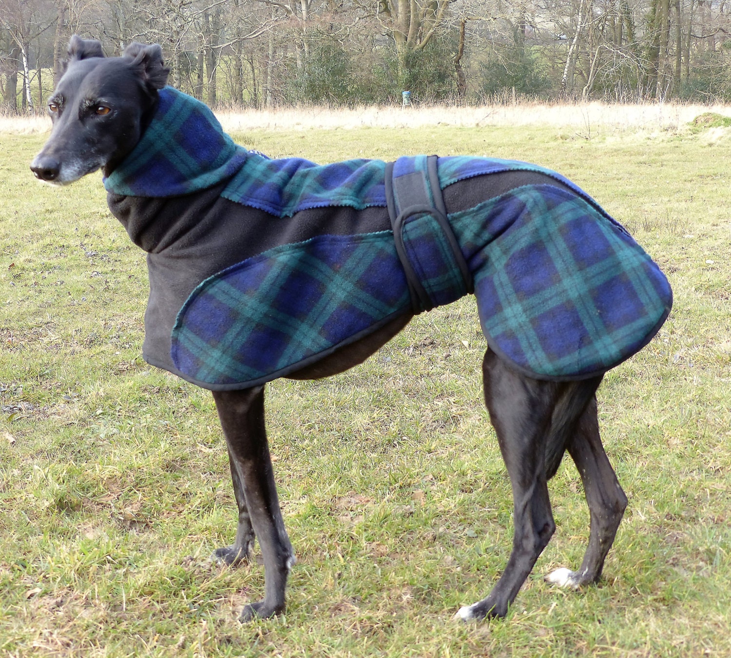 Whippet Fleece Coat Greyhound Fleece Fleece by CrystalWolfCollars