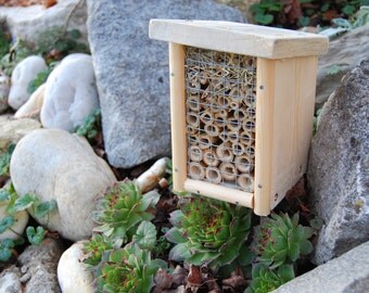 nestbox for solitary bees/insect hotel/ bug hotel/bee box/wild bee house. Alternative beekeping. Mini.  Slovenia made, sustainable design