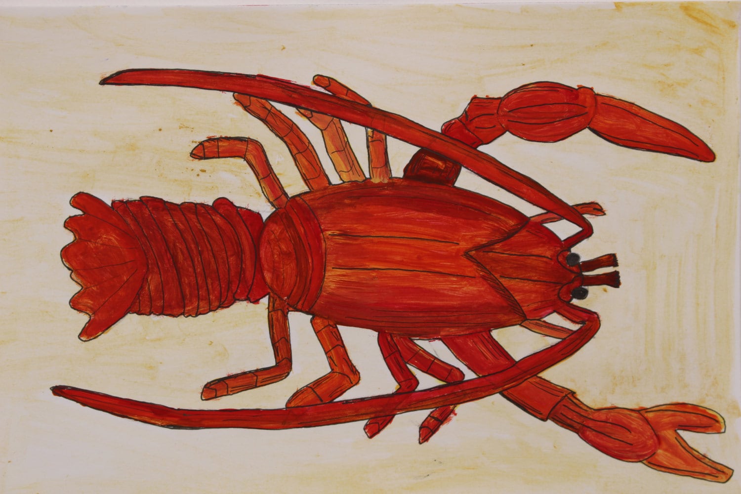 Immortal Lobster Postcard by oceansproject on Etsy