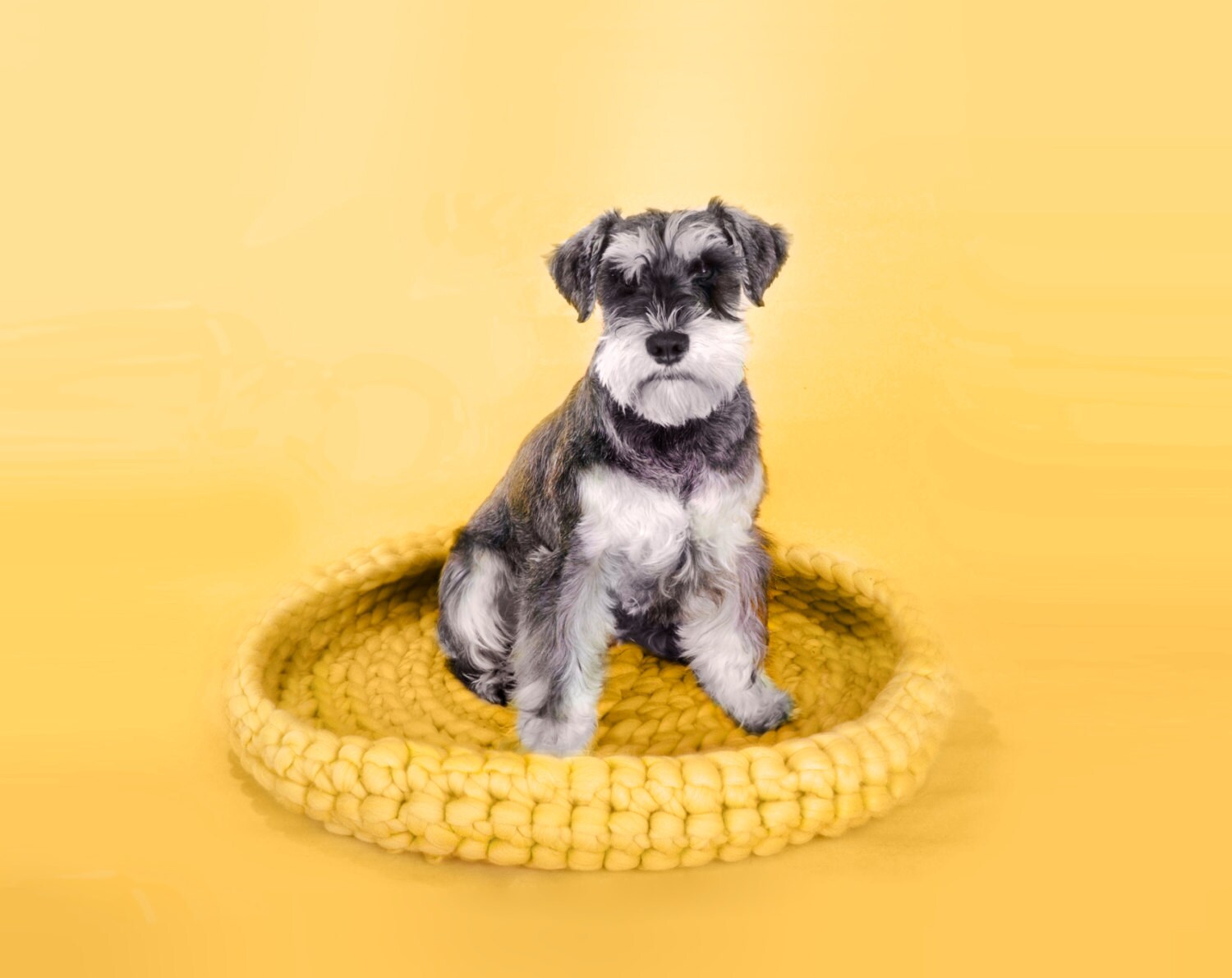 top paw cozy mat