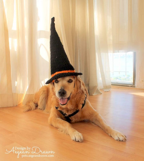 Witch Hat for Dogs Dog Witch Hat Halloween Hat for Dogs