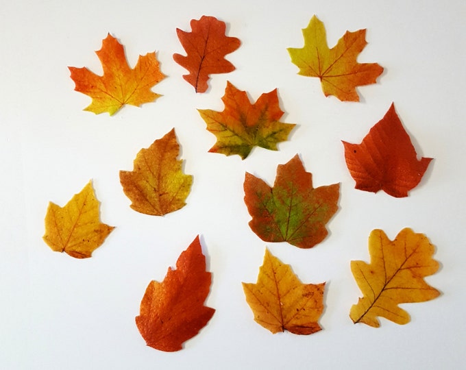 Edible Cake Decorations - Fall Leaves, Wafer Paper Toppers for Cakes, Cupcakes or Cookies- Color on Both Sides