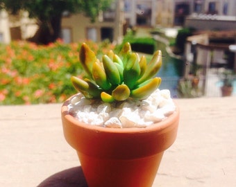 Polymer clay succulent plant; succulent plant; Mini Polymer clay plant;