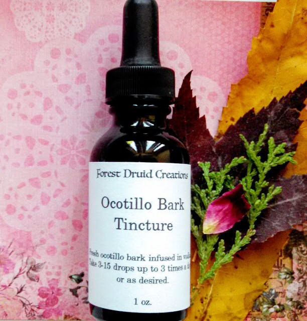 Ocotillo Bark Tincture 1 oz Sonoran Desert Medicine Natural