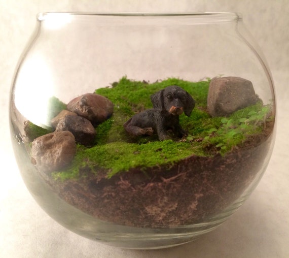 items similar to mini live moss terrarium animal fairy items similar to mini live moss terrarium animal fairy