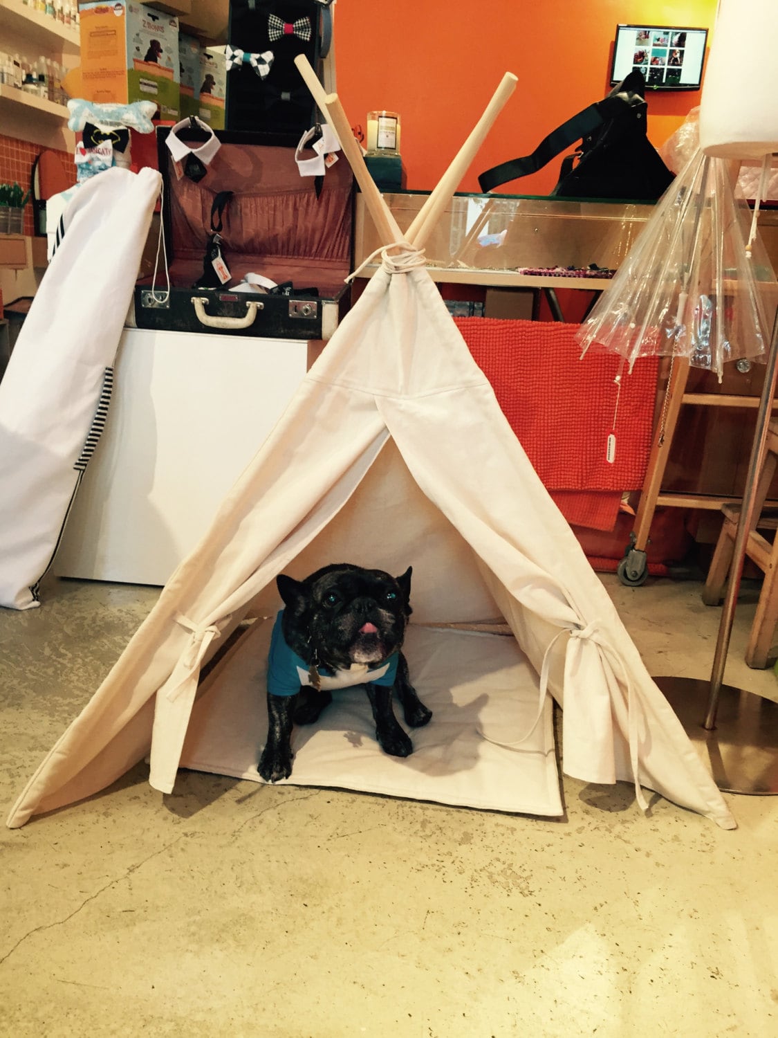 DOG teepee/ CAT TEEPEE Pet Tipi Tent Bed by