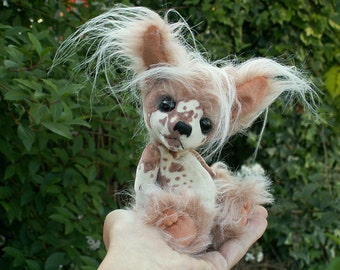 Chinese crested dog  Etsy