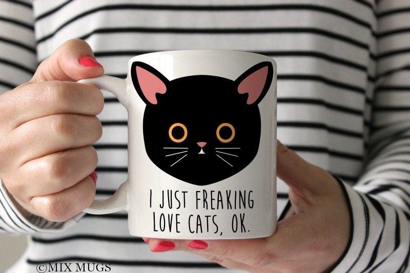 Funny Cat Mug Funny Cat Gifts Cat Lover Gift Cat Owner by MixMugs