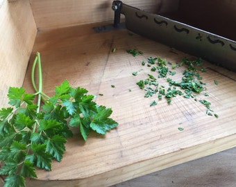 Tobacco HERB Chopper Built in SOLID Wooden Enclosed Board BEAUTIFUL Condition Chopping Cutter