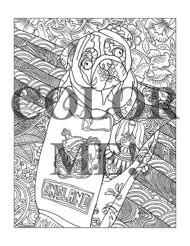 A Pug Called Pig Adult Colouring page downloadable Doodle