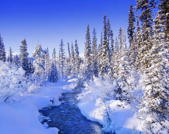 PREMIUM FRAGRANCE OIL -Frost-Snowdrops for Candles Soaps & Home Warmers / Burner , Beauty and more