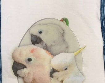 Custom Photo Imprinted Crew Neck Tee Shirt