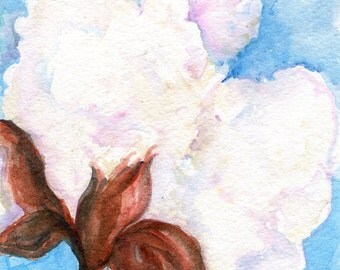 Minimalist Original Cotton Boll watercolor painting, Small Farmhouse Decor Wall Art, 5 x 7 nature watercolor, Mississippi artist