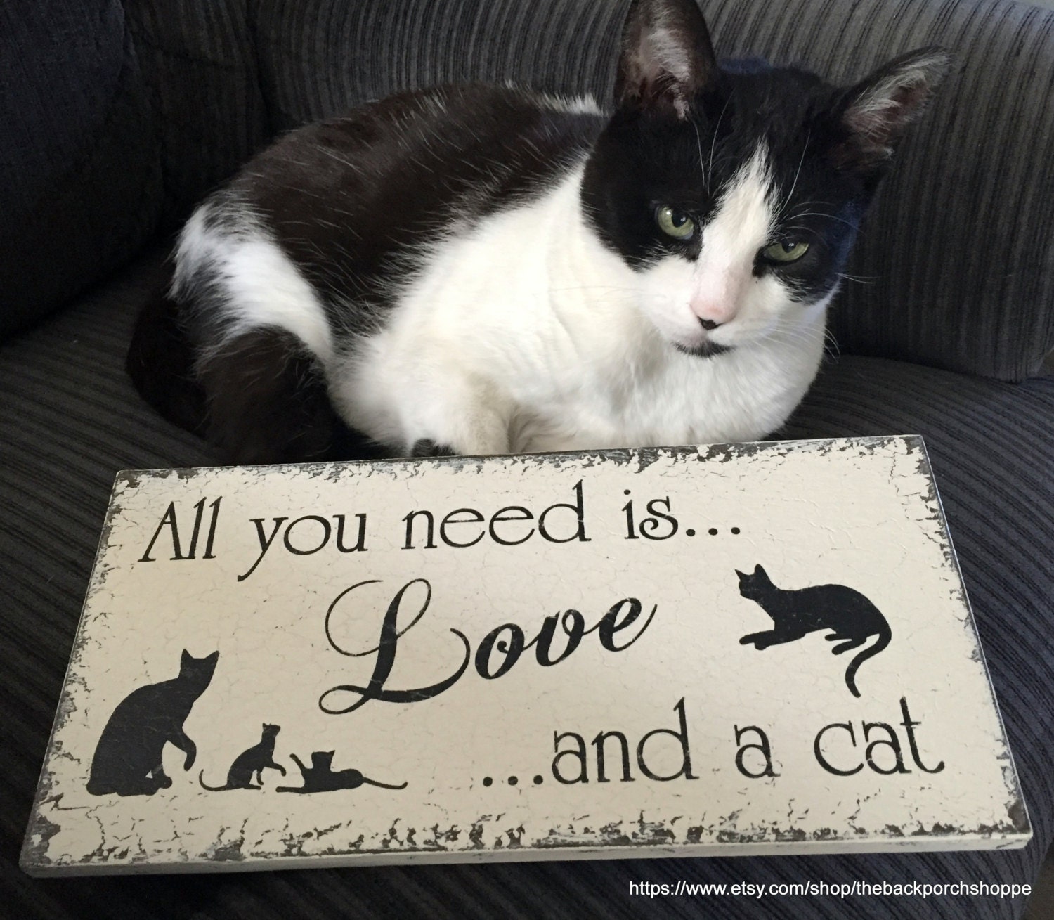 All you need is LOVE and a CAT Cat Signs Pet Signs All you