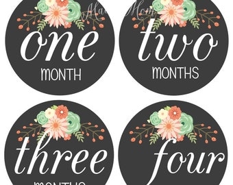 FREE GIFT, Baby Girl Monthly Stickers, Baby Month Stickers Girl, Milestone Stickers, Floral Coral Mint Peach Light Teal Aqua
