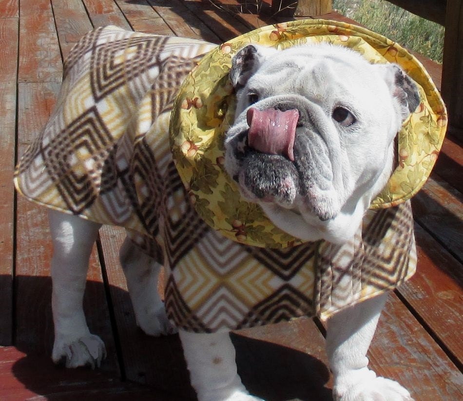 ENGLISH BULLDOG Reversible CoatFleeceFall winter dog coat