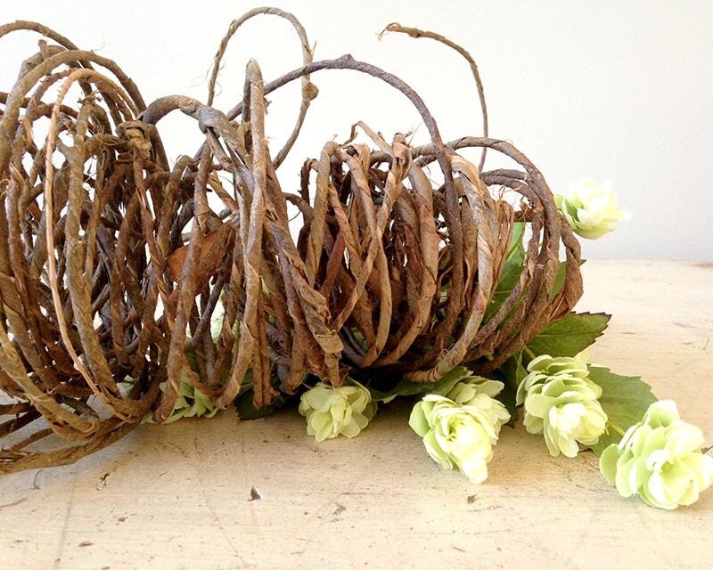 Rustic vine wire wrapped wire rustic grapevine wire by dirtcouture
