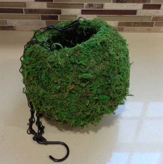 6 Moss Ball Hanging Planter With Chain