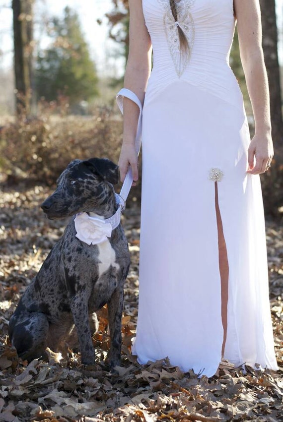 Wedding Martingale and Leash Set Bridal Dog by FawnAndBrindle