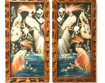 Vintage Wall Art • Bird Pictures • Real Feathers