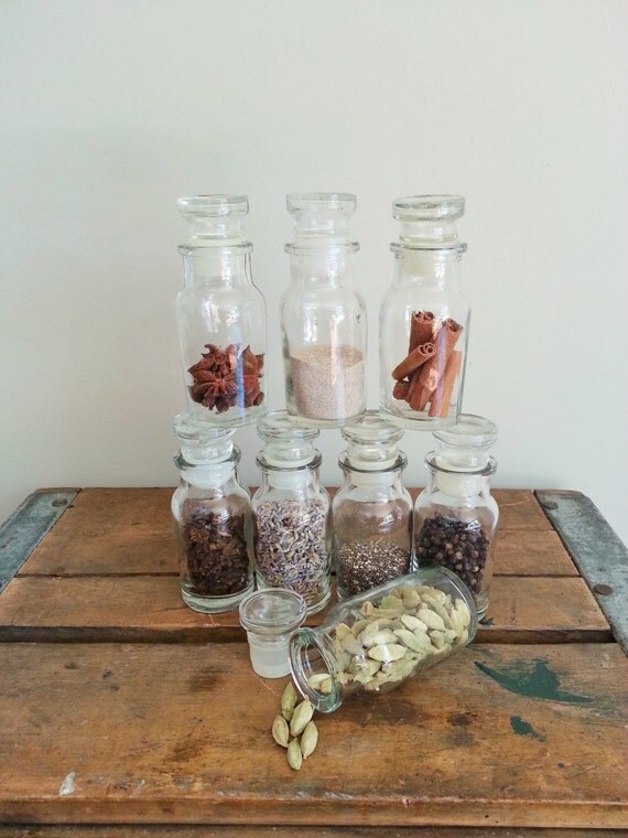 Instant Collection of Vintage Spice Jars set of 4 by thejadedorris