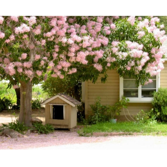 Items similar to Dog House on Etsy