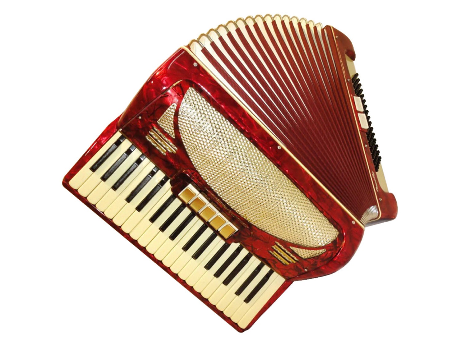 German Piano Accordion Instrument 96 Bass 7 Registers 260