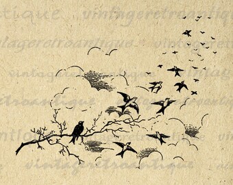 Printable Graphic Blackbird Digital Black by VintageRetroAntique