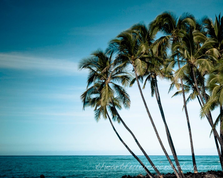 Beach decor, Island decor, Palm tree print, Blue art, Kailua Kona, Hawaii, She shed, Travel Photography, Tropical art // Hawaii Palm Trees