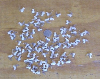 100 Real Kansas Bobcat Claws