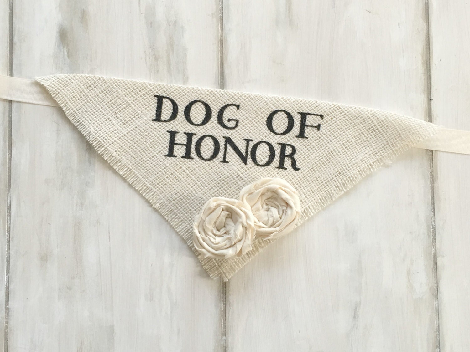 Engagement Photos Save the Date Cards Dog Bandana Dog of Honor