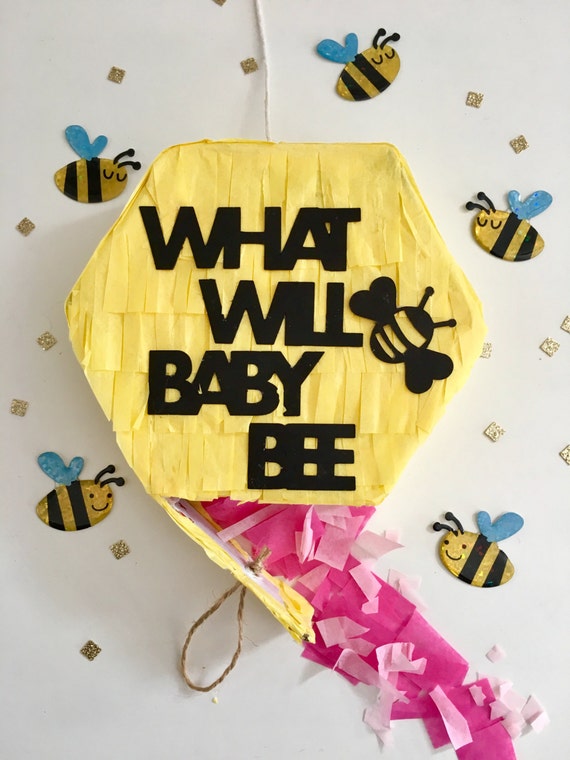 Gender Reveal Pull String Pinata, Gender Announcement, What Will Baby